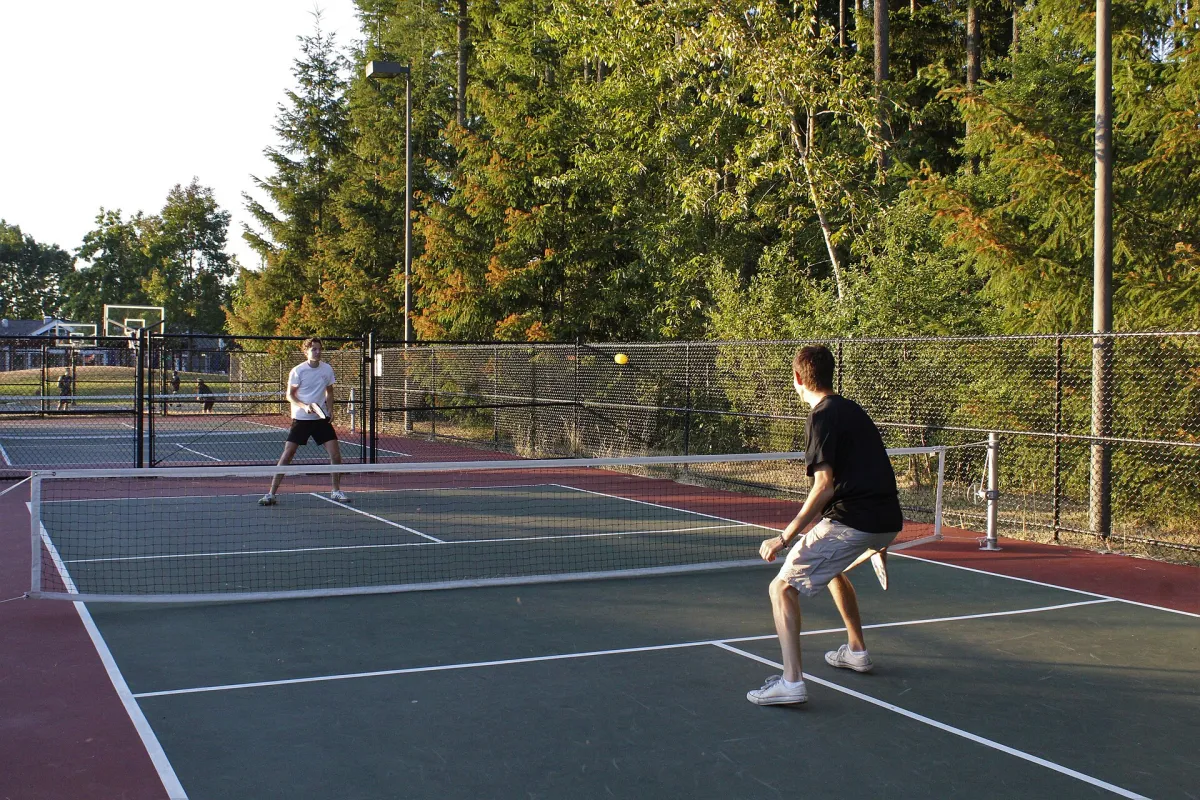 Open Pickleball
